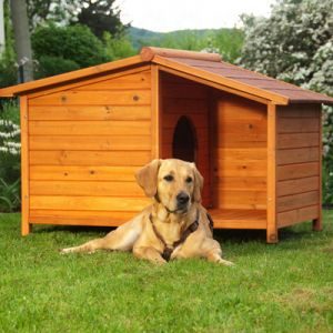 cuccia per cane