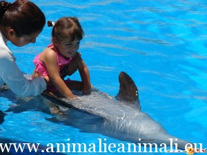 Delfinario-Sonora-03