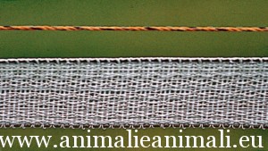 recinzioni-elettriche per animali