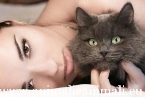 i-gattti-preferiscono-le-donne-618x412