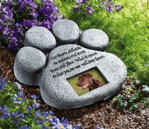 cani-cimitero