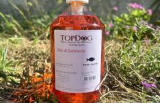 miglior-olio-salmone-per-cani